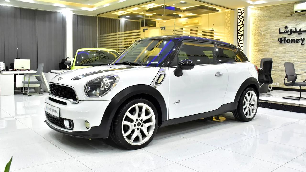 Mini Paceman