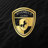 Dealer Logo