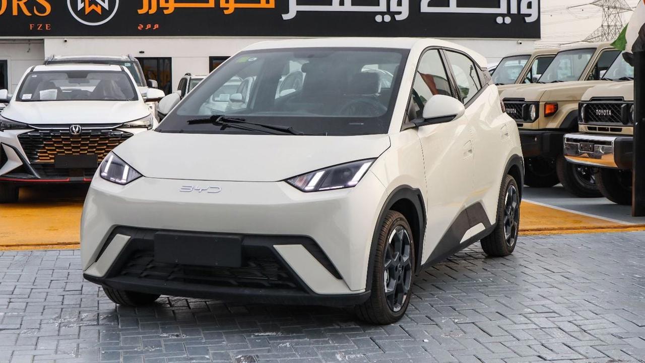BYD Seagull