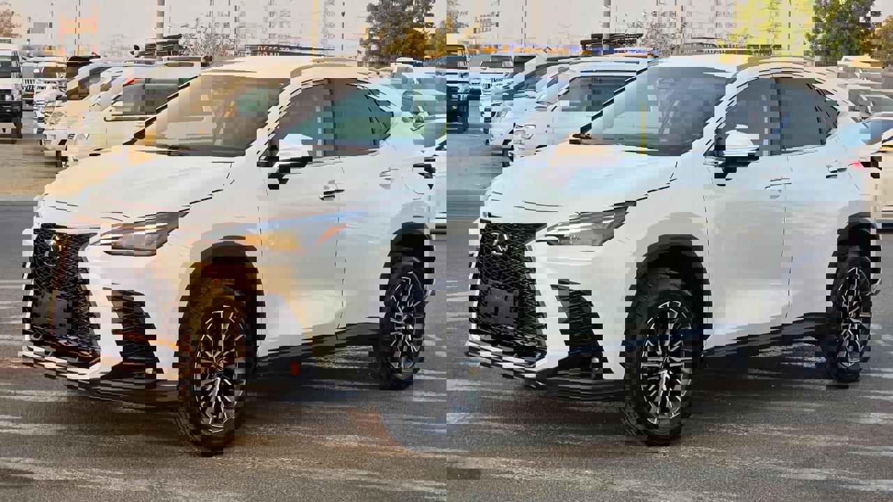 Lexus NX 250