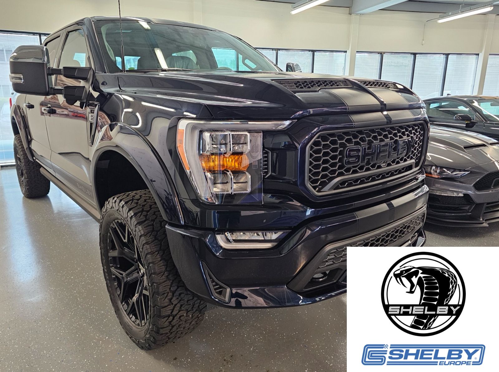 Ford Shelby F150 Offroad
